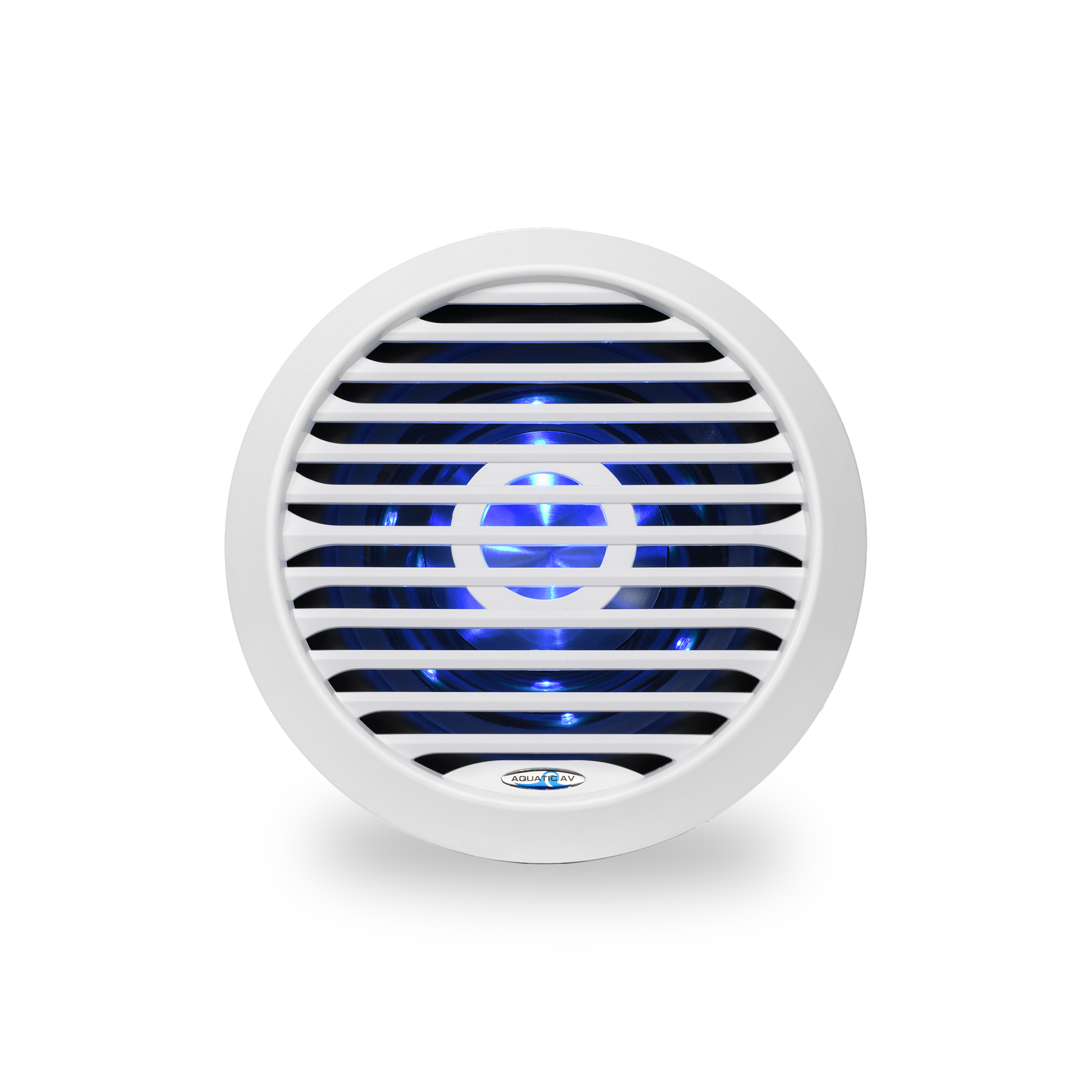 10" High Efficiency Subwoofer