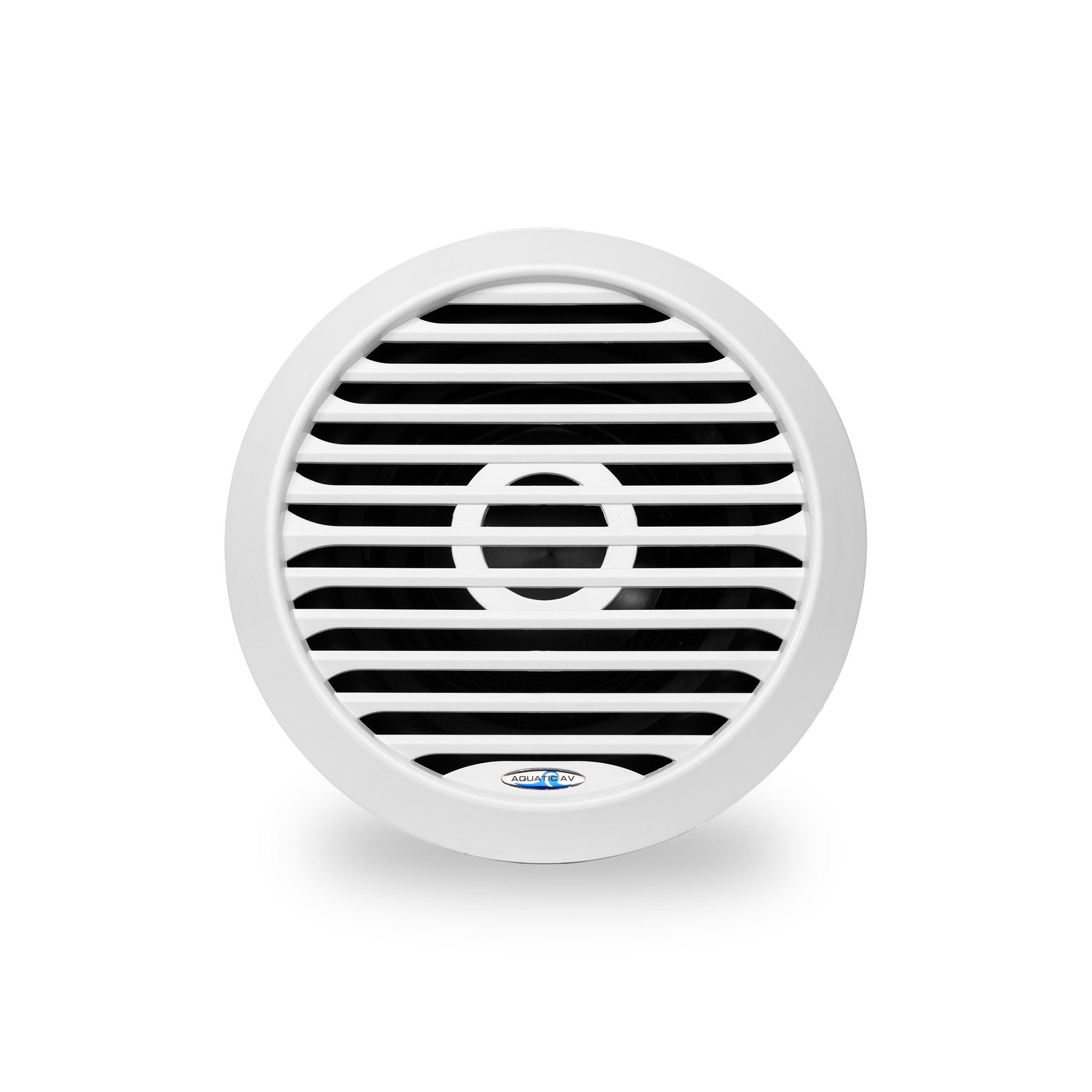 10" High Efficiency Subwoofer